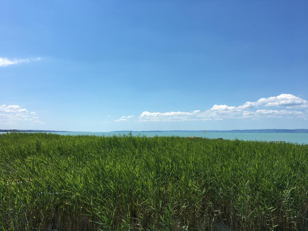 Residence At Lake Balaton Σίοφοκ Εξωτερικό φωτογραφία